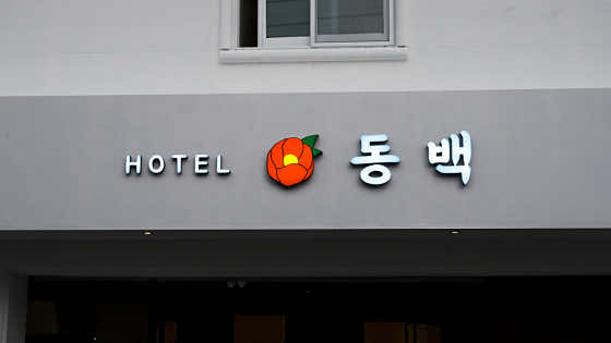사진 1